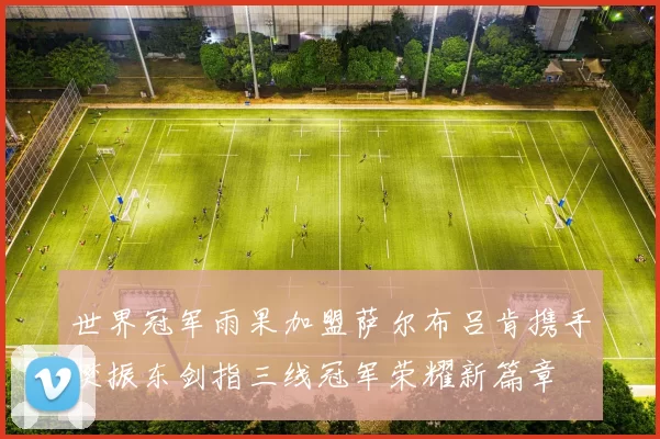 世界冠军雨果加盟萨尔布吕肯携手樊振东剑指三线冠军荣耀新篇章
